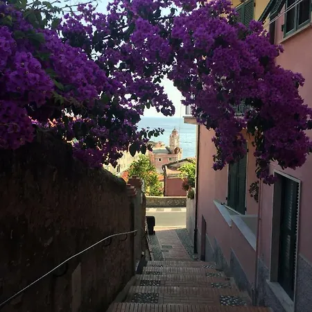 Amazing * Tellaro