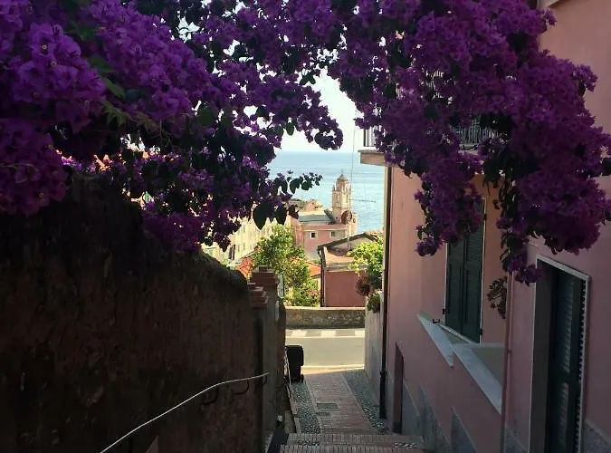 Amazing * Tellaro